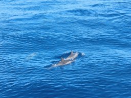 Tour de l'île en avion